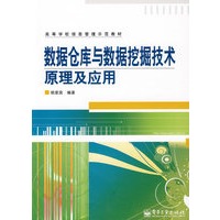 数据仓库与数据挖掘技术原理及应用