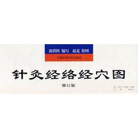 针灸经络经穴图