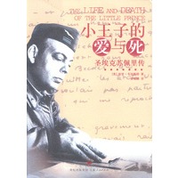小王子的爱与死:圣埃克苏佩里传
