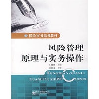 风险管理原理与实务操作