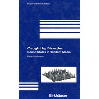 Caught by disorder无序介质的束缚态