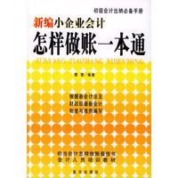 新编小企业会计怎样做帐一本通