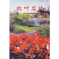 红叶石楠