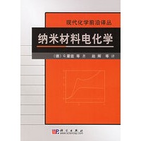 纳米材料电化学——现代化学前沿译丛