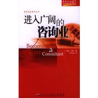 进入广阔的咨询业
