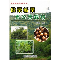 锥栗板栗无公害栽培
