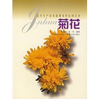 菊花——花卉生产技术原理及其应用丛书