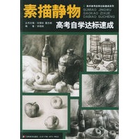 色彩静物高考自学达标速成