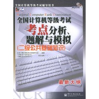 全国计算机等级考试考点分析、题解与模拟（二级公共基础知识）/飞思考试中心