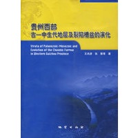 贵州西部古-中生代地层及裂陷槽盆的演化