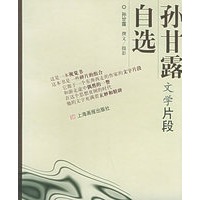孙甘露文学片段自选