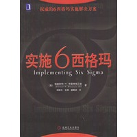 实施6西格玛