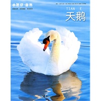 小聪仔﹒自然系列（第四辑，全6册，给孩子童年最好的礼物）