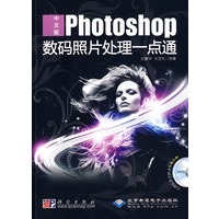 中文版Photoshop数码照片处理一点通（2DVD）
