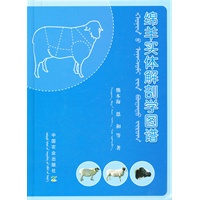绵羊实体解剖学图谱
