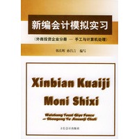 新编会计模拟实习(外商投资企业分册手工与计算机处理)
