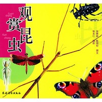 观赏昆虫