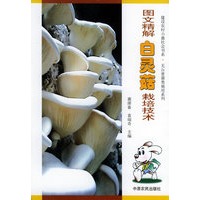 图文精解白灵菇栽培技术——建设农村小康社会书系·无公害养殖系列