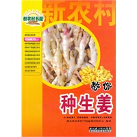 教你种生姜