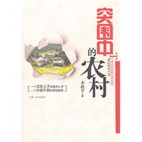 突围中的农村