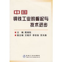 中国钢铁工业的崛起与技术进步