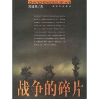战争的碎片