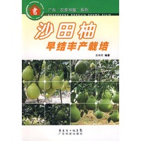 沙田柚早结丰产栽培--广东“农家书屋”系列