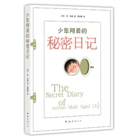 少年阿莫的秘密日记（《哈利波特》作者J·K·罗琳感动珍藏：欧洲最伟大成长小说）