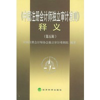 《中国注册会计师独立审计准则》释义．（第五辑）