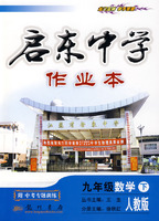启东中学作业本：九年级数学 下（人教版）（附中考专题训练）