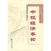 中观经济本论