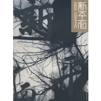 新平面
