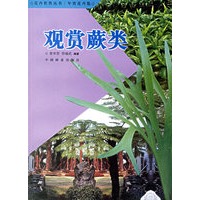 观赏蕨类