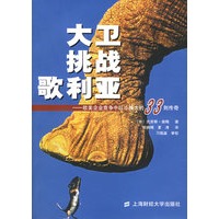 大卫挑战歌利亚：欧美企业竞争中以小搏大的33则传奇