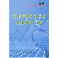 金融资产管理公司系列培训教材——金融资产管理公司内部审计实务