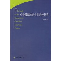 企业集群的内生性成长研究