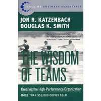 团队智慧Wisdom of Teams, The