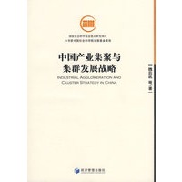 中国产业集聚与集群发展战略