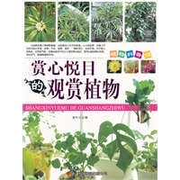 赏心悦目的观赏植物