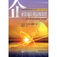 企业资源计划高级教程——应用导向的理论与实践