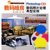 数码暗房--PhotoshopCS3数码照片处理典型实例--艺术(附光盘