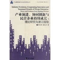 产业演进、协同创新与民营企业持续成长