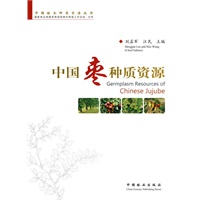 中国枣种质资源
