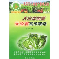 大白菜菜薹无公害高效栽培/蔬菜无公害生产技术丛书