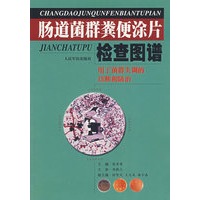 肠道菌群粪便涂片检查图谱