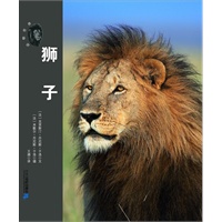 荒原兽王--狮子 动物世界大写真