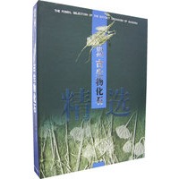 贵州古生物化石精选