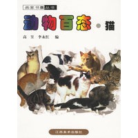 动物百态·猫