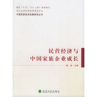 民营经济与中国家族企业成长——中国民营经济发展研究丛书