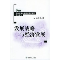 发展战略与经济发展——北京大学中国经济研究中心研究系列